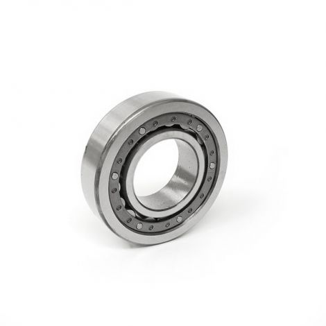 Ring Gear & Pinion Rear Bearing