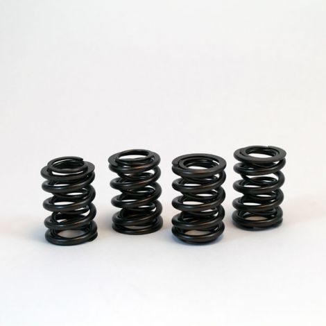Valve Springs - Dual (Command V-Twin)